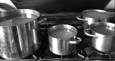 Filberts of Dorset - Bee Feeding, Harvesting & Pressing_1