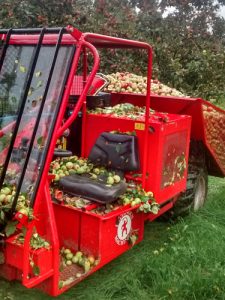 Filberts of Dorset - Bee Feeding, Harvesting & Pressing_3