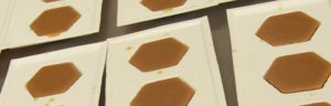 Filberts of Dorset - Making Beeswax Bars & Queens_2