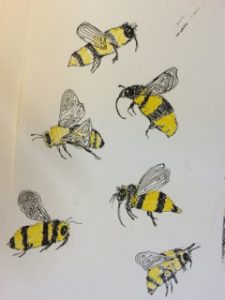 Black and yellow bee drawings