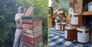 Raw Dorset Honey Haul